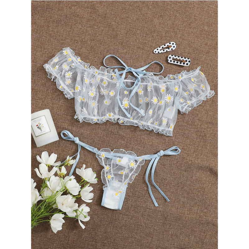 Sexy Lace Transparent Lingerie - огляд і ціна Sheer Bra Lace